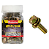 Champion - HEX SET SCREWS SEMS HEX IND FLAT/SPRING WASHERS M8 x 30mm | CBP193